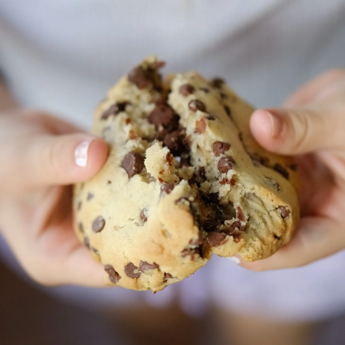 Hands holding a large chocolate chip cookie from Michaels Bakery in Orrville, Ohio