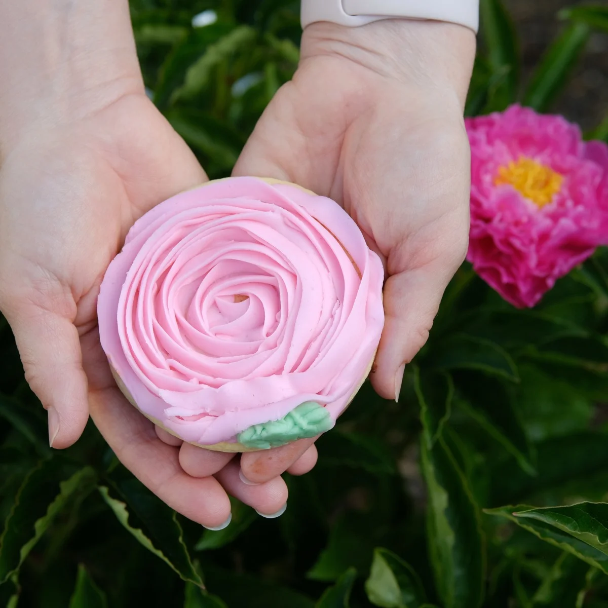 Hands holding a pink rose-iced sugar cutout cookie from Michaels Bakery, with a pink peony flower in the background